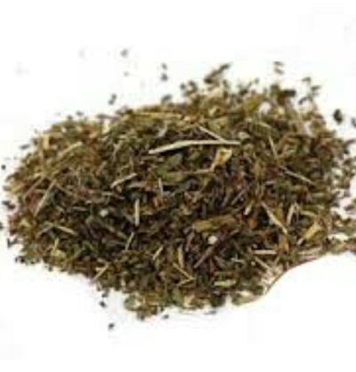 Pennyroyal