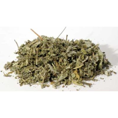 Sage Leaf