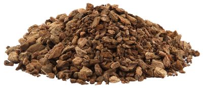 Rhubarb Root
