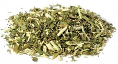 Blue Vervain