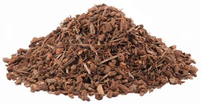 Black Walnut Bark