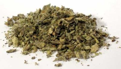 Mullein Leaf