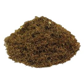 Cornsilk