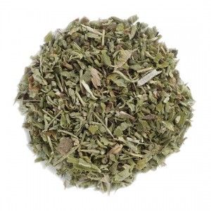 Catnip Herb