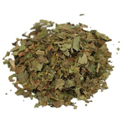 Black Walnut Leaf