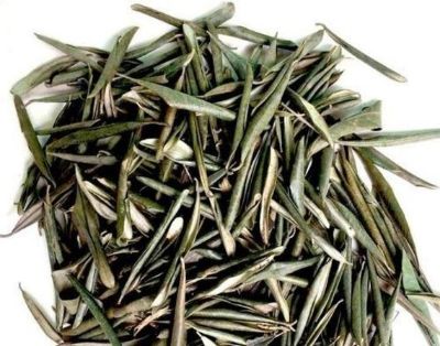 Olive Leaf Whole