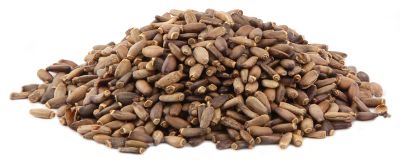 Milk Thistle Seed Powder