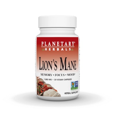 Lion's Mane 500mg